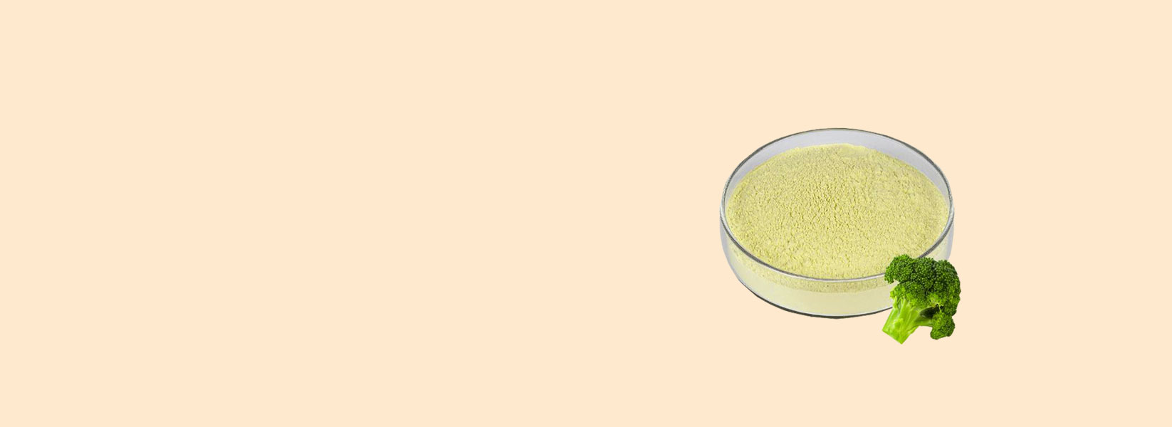 西兰花种子提取物蘿蔔硫苷