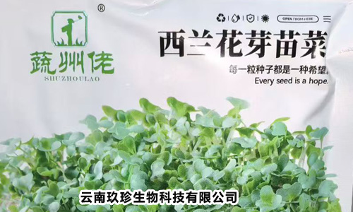 Broccoli sprout seeds - vegetable state guy!