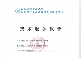質檢報告 質檢報告