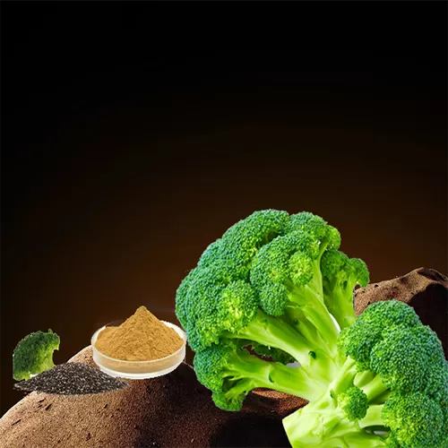 蘿蔔硫苷功效作用