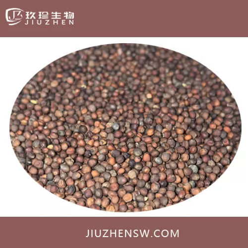 提取物西蘭花種子