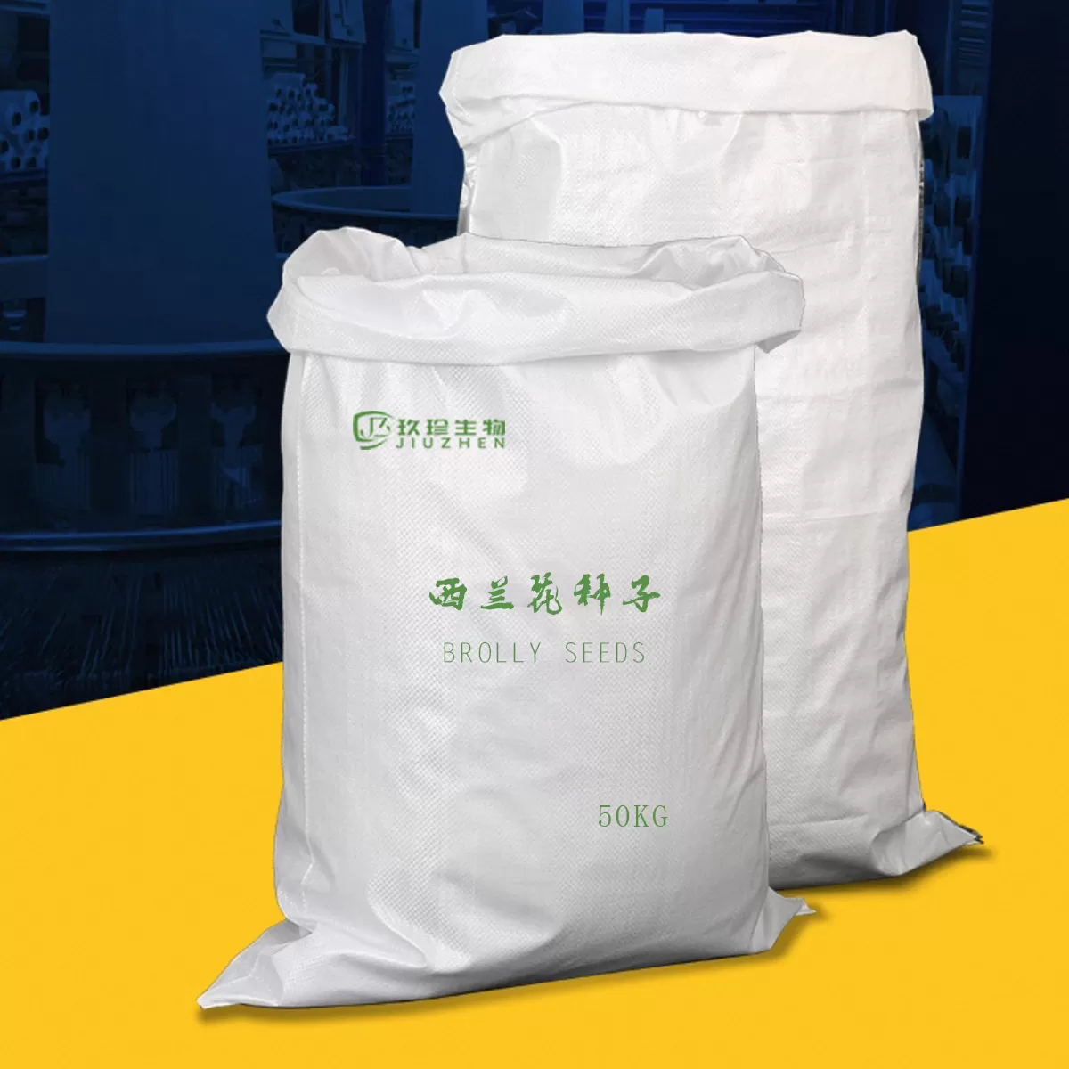 提取物西蘭花種子