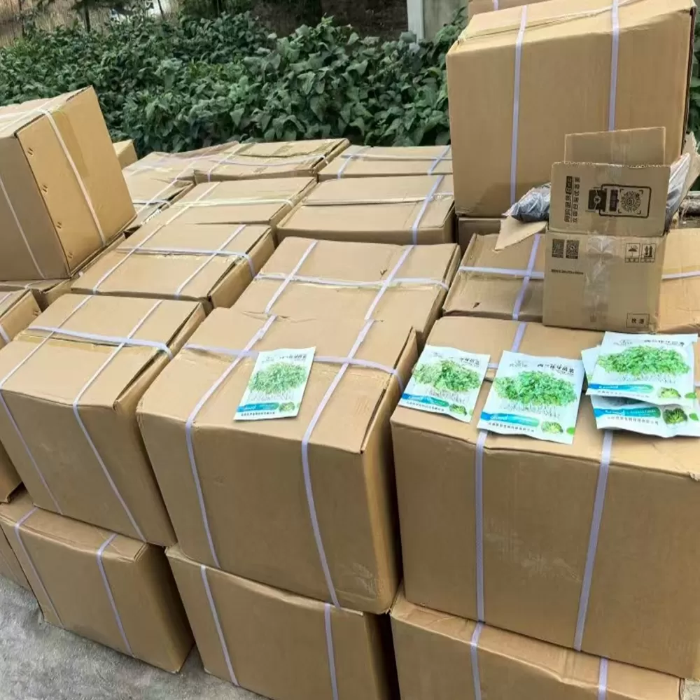 西蘭花苗芽種子-蔬州佬