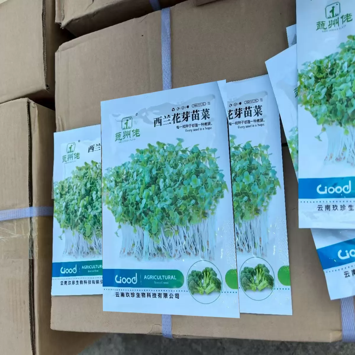 西蘭花苗芽種子-蔬州佬