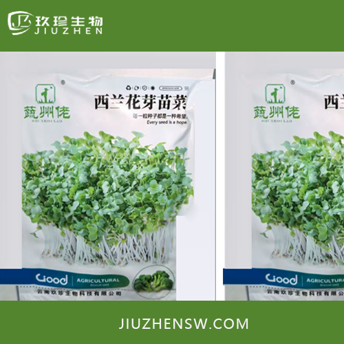 西蘭花苗芽種子-蔬州佬